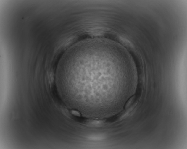 X0000086730081200704201654