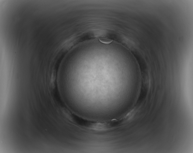 X0000086730082200704201654