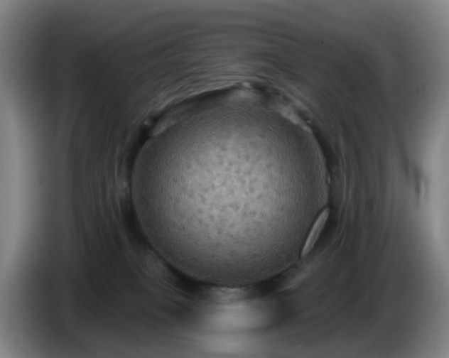 X0000086730085200704201654