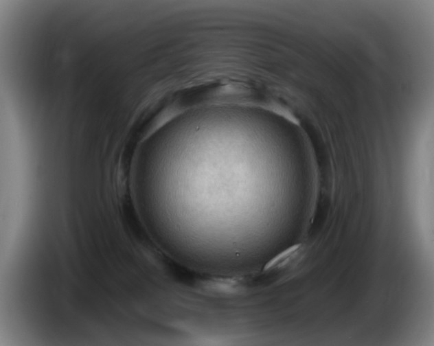 X0000086730086200704201654