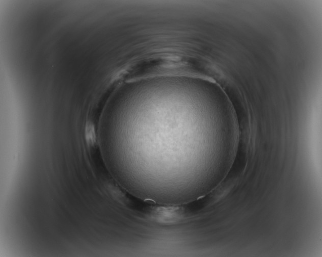 X0000086730089200704201654