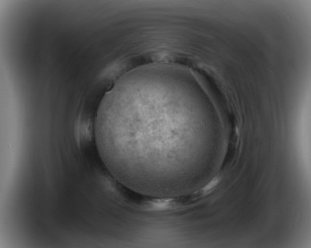 X0000086730090200704201654