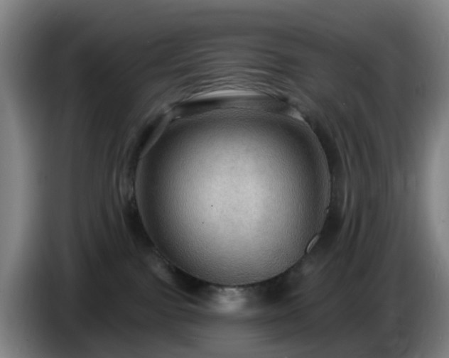 X0000086730091200704201654