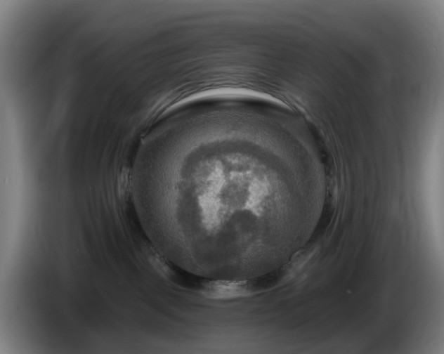 X0000086730093200704201654