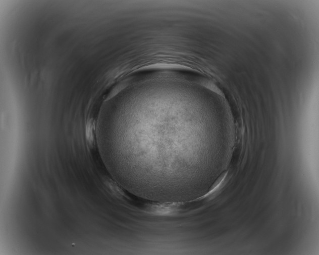 X0000086730094200704201654