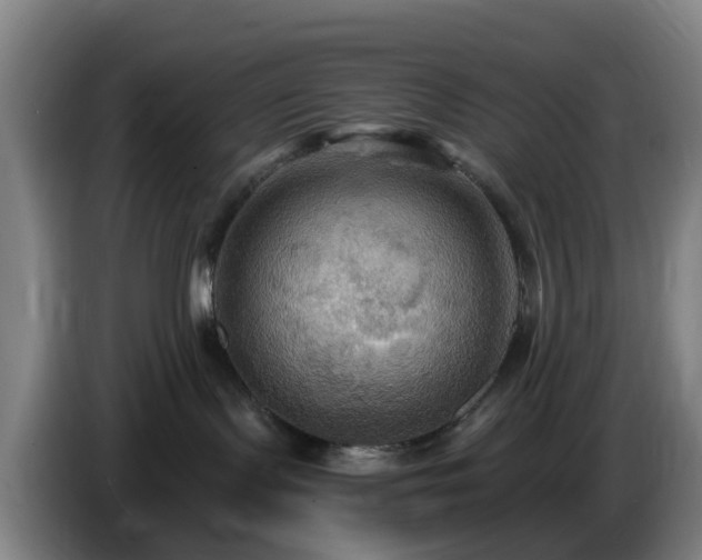 X0000086730095200704201654