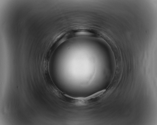 X0000086730096200704201654