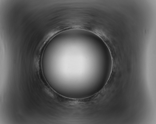 X0000086730098200704201654