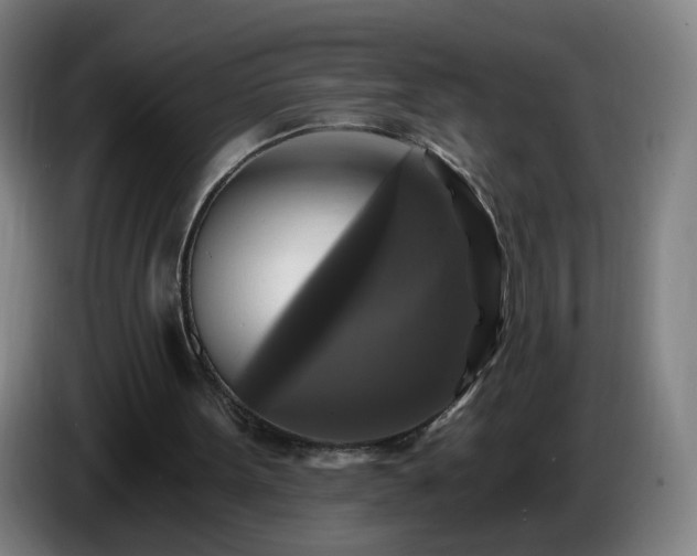 X0000086730099200704201654