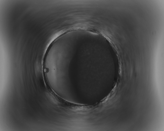 X0000086730100200704201654