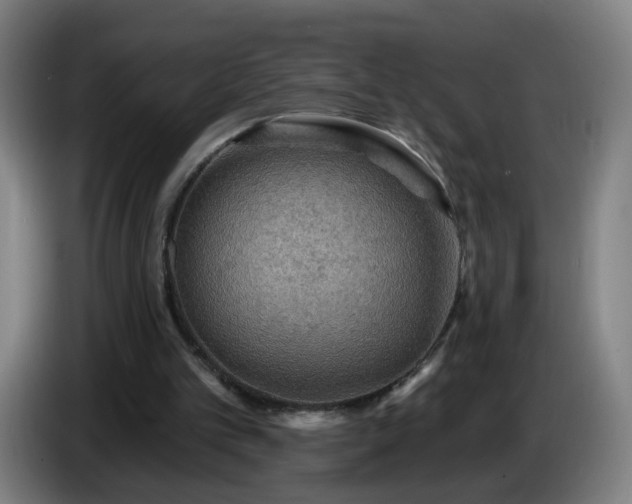 X0000086730101200704201654