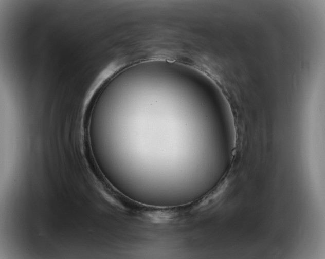 X0000086730102200704201654