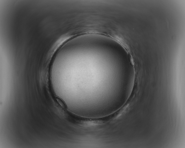 X0000086730103200704201654