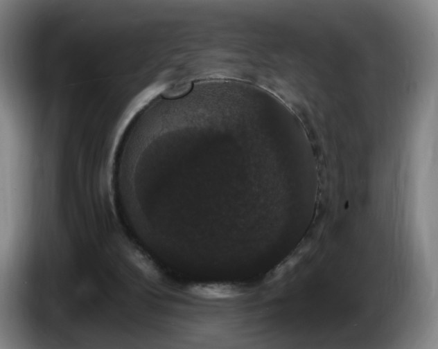 X0000086730104200704201654