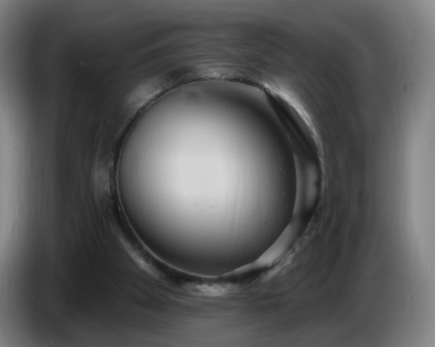 X0000086730105200704201654