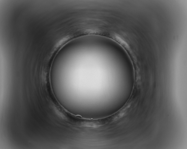 X0000086730106200704201654