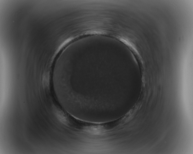 X0000086730108200704201654