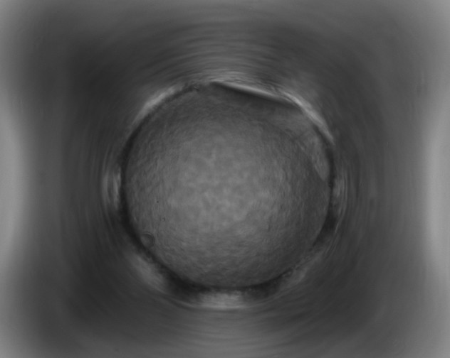 X0000086730110200704201654