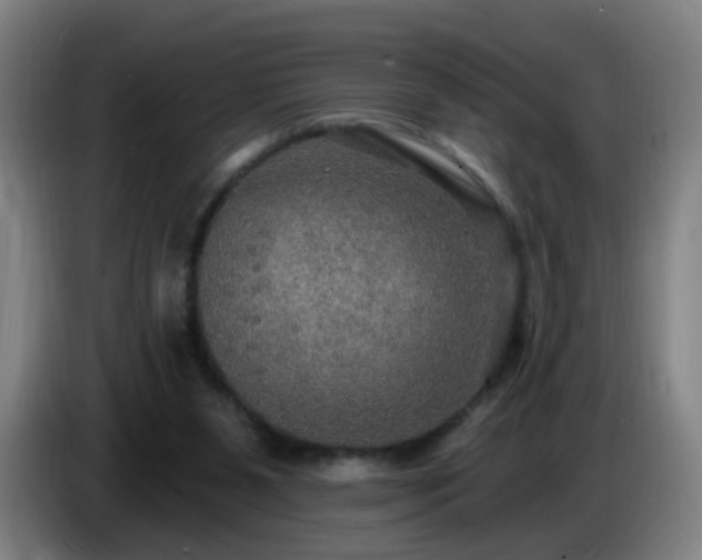 X0000086730111200704201654