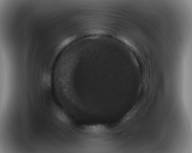 X0000086730112200704201654