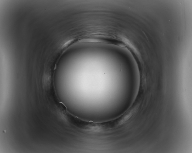 X0000086730113200704201654