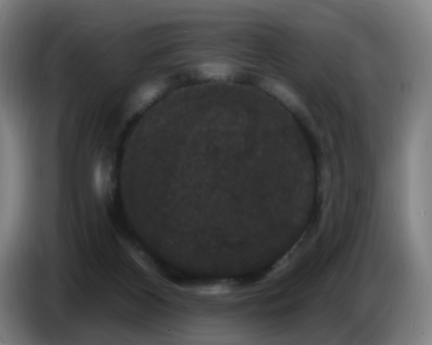 X0000086730116200704201654