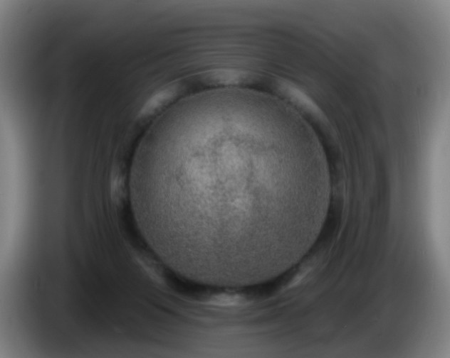 X0000086730119200704201654