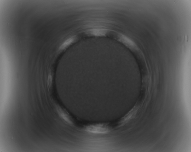 X0000086730120200704201654