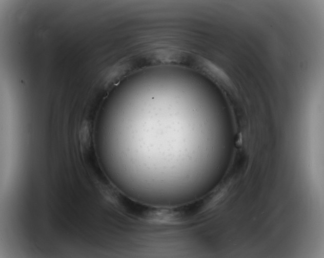 X0000086730121200704201654