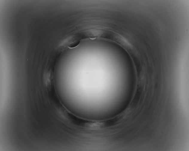 X0000086730122200704201654