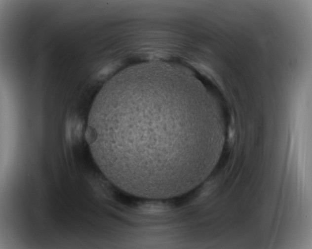 X0000086730123200704201654