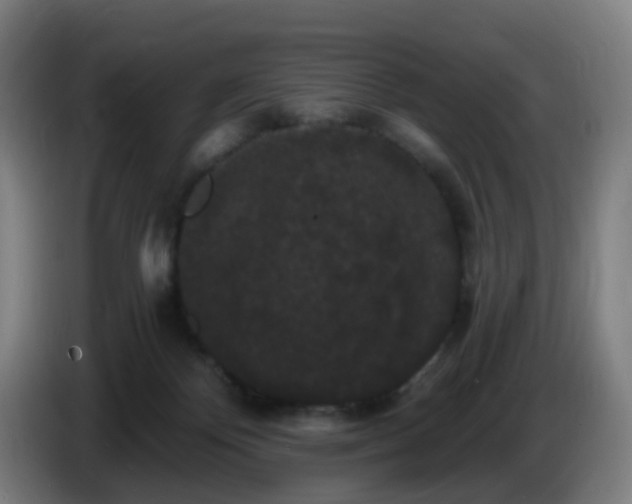 X0000086730124200704201654