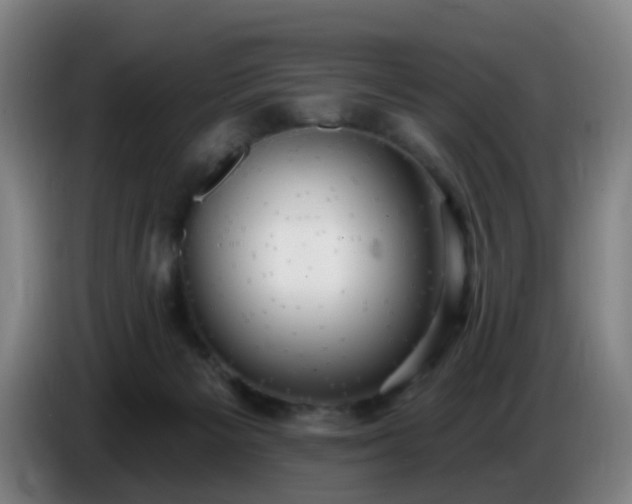 X0000086730125200704201654