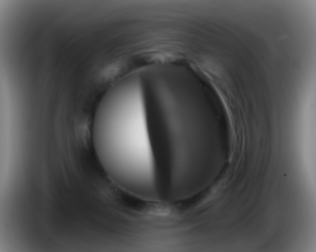 X0000086730127200704201653