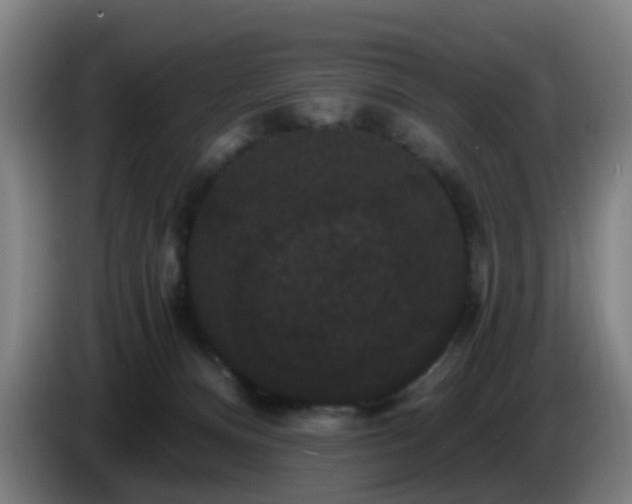 X0000086730128200704201653