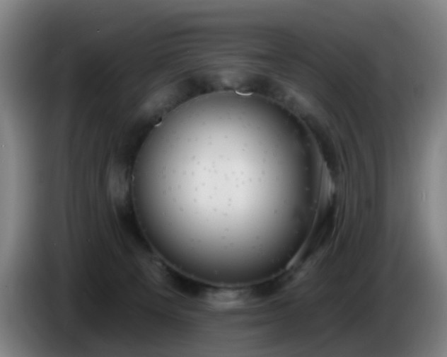 X0000086730129200704201653