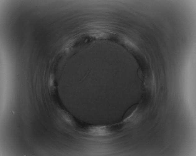 X0000086730132200704201653