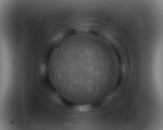 X0000086730134200704201653