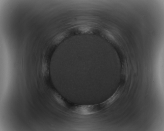 X0000086730136200704201653