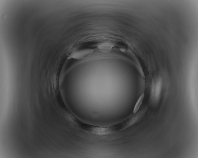 X0000086730139200704201653