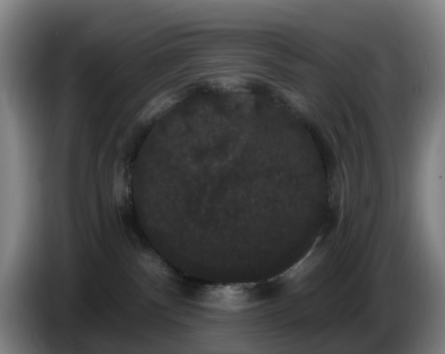 X0000086730140200704201653