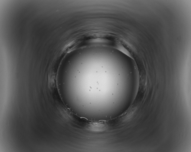 X0000086730141200704201653