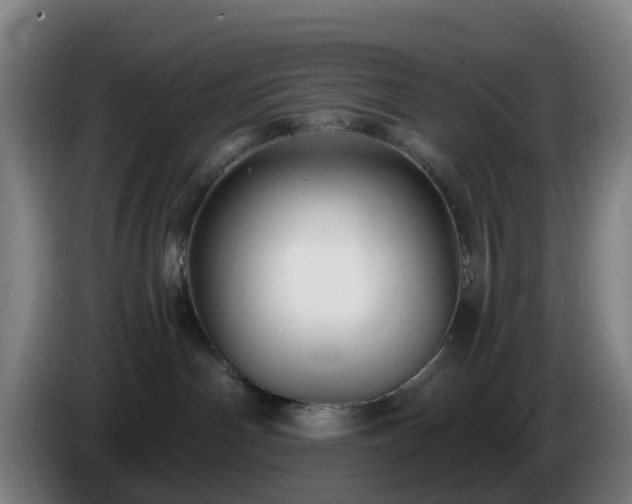 X0000086730142200704201653