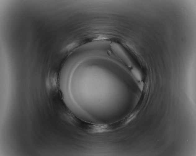 X0000086730143200704201653