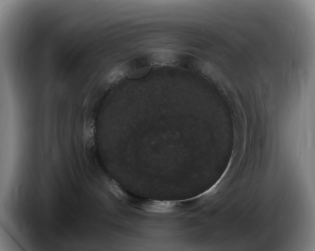 X0000086730144200704201653