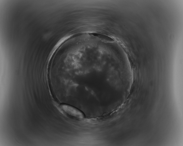 X0000086730147200704201653