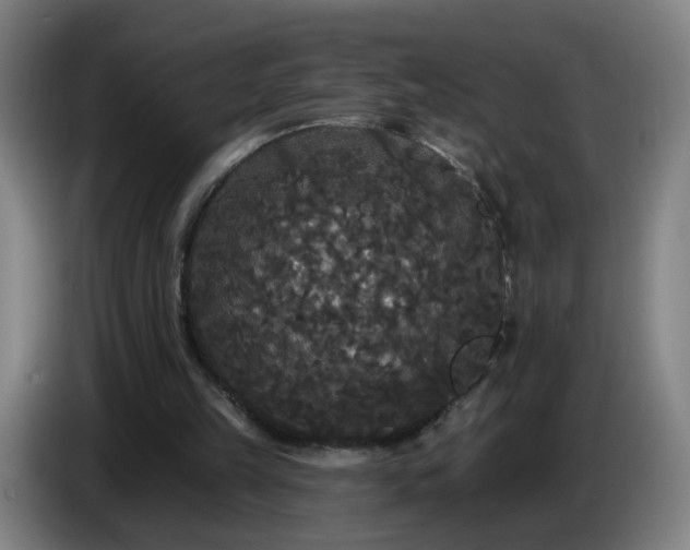 X0000086730149200704201653