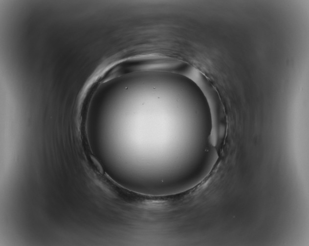 X0000086730150200704201653