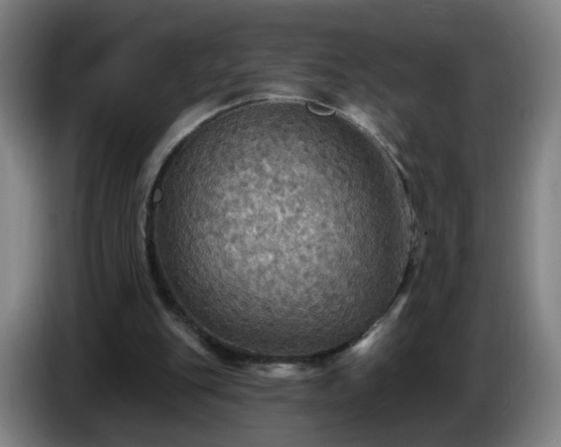 X0000086730151200704201653