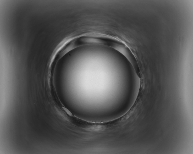 X0000086730152200704201653